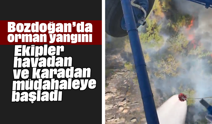 Bozdoğan’da orman yangını: Ekipler havadan ve karadan müdahaleye başladı
