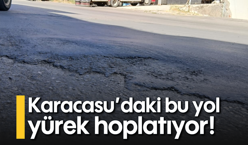 Karacasu'daki bu yol yürek hoplatıyor!