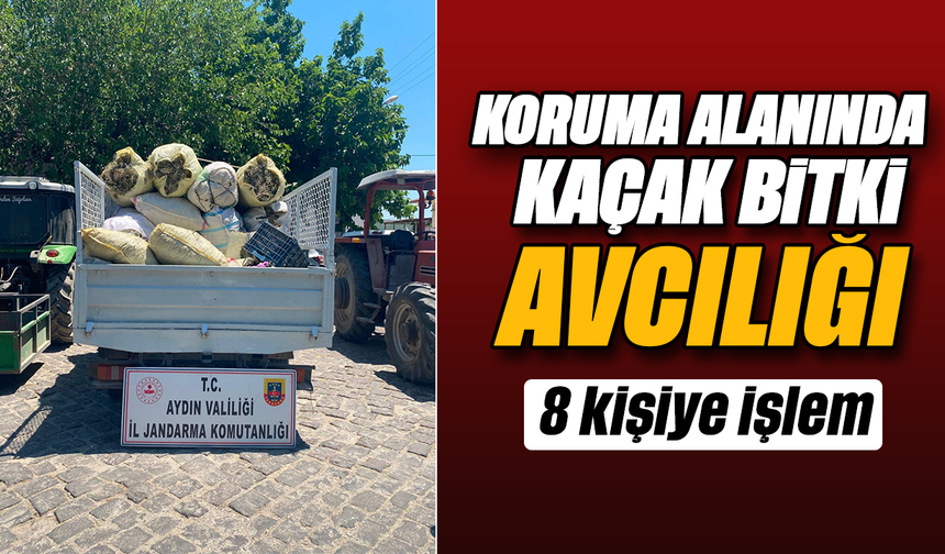 Didim'de koruma alanında kaçak bitki toplayan 8 kişiye işlem