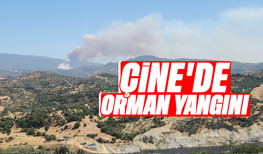 Çine’de orman yangını