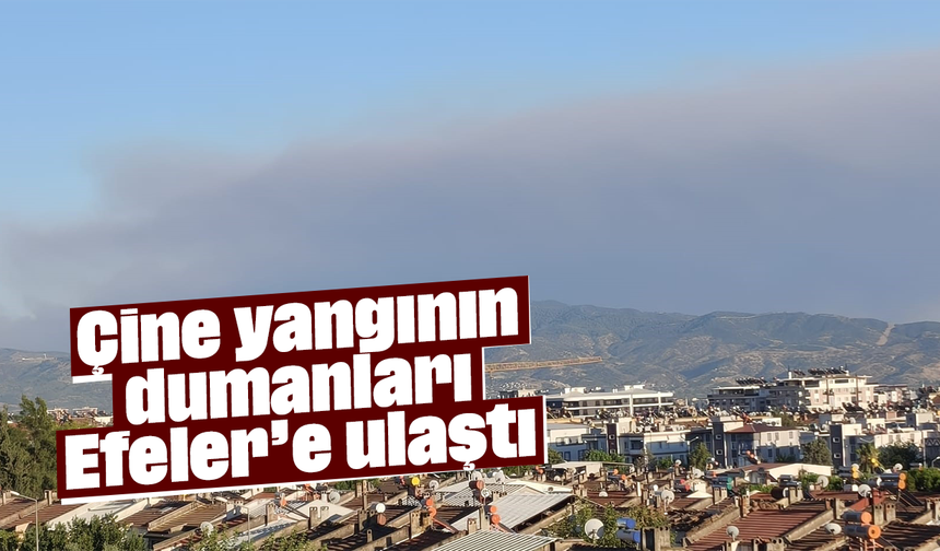 Çine yangının dumanları Efeler’e ulaştı