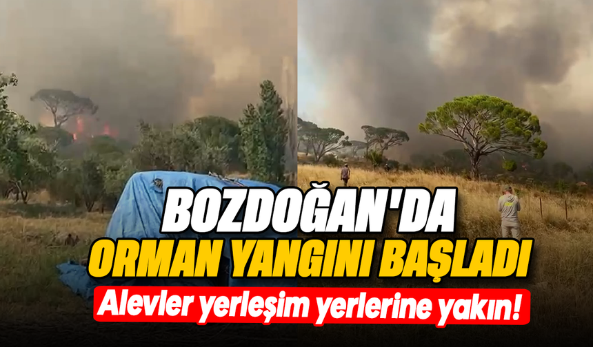 Bozdoğan’da orman yangını başladı : Alevler yerleşim yerlerine yakın!