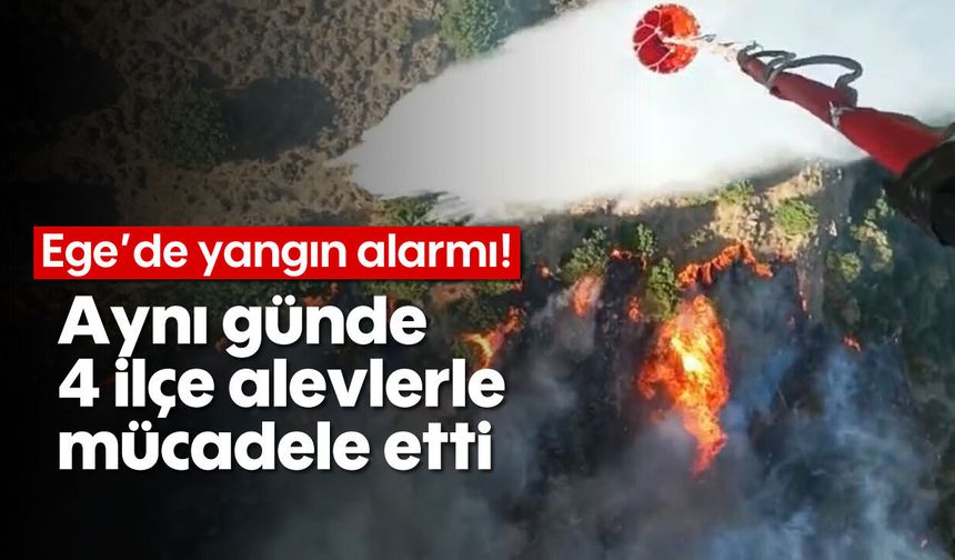 Ege'de yangın alarmı! Aynı günde 4 ilçe alevlerle mücadele etti
