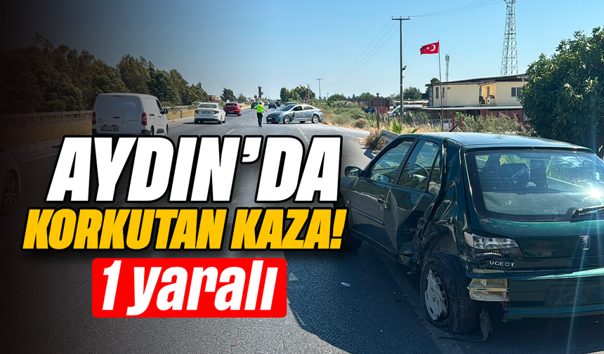 Aydın'da korkutan kaza: 1 yaralı