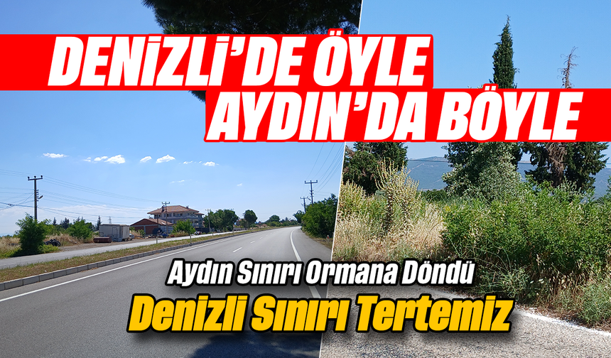 Denizli'de öyle, Aydın'da böyle: Aydın Sınırı Ormana Döndü, Denizli Sınırı Tertemiz