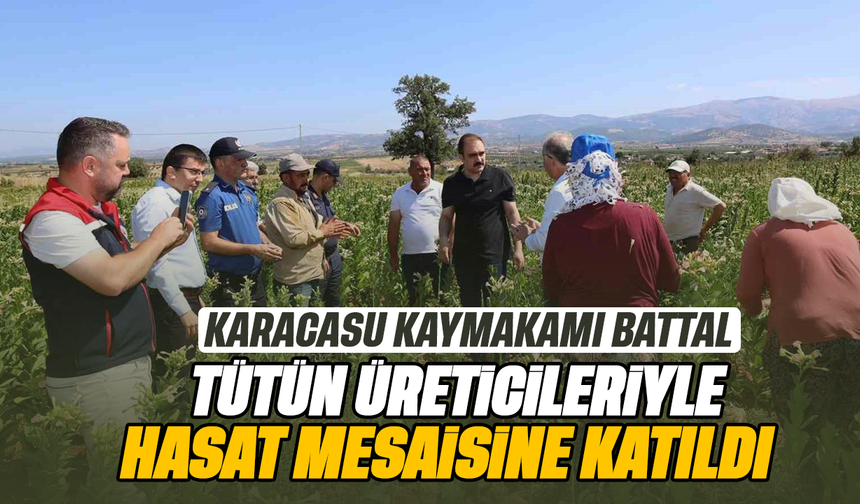 Karacasu Kaymakamı Battal tütün üreticileriyle hasat mesaisine katıldı