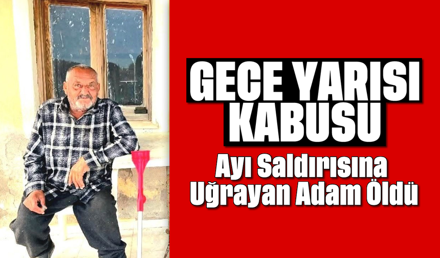 Gece yarısı kabusu: Ayı saldırısına uğrayan adam öldü