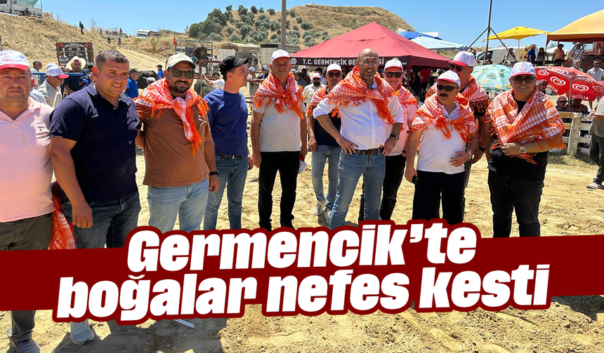 Germencik’te boğalar, nefes kesti