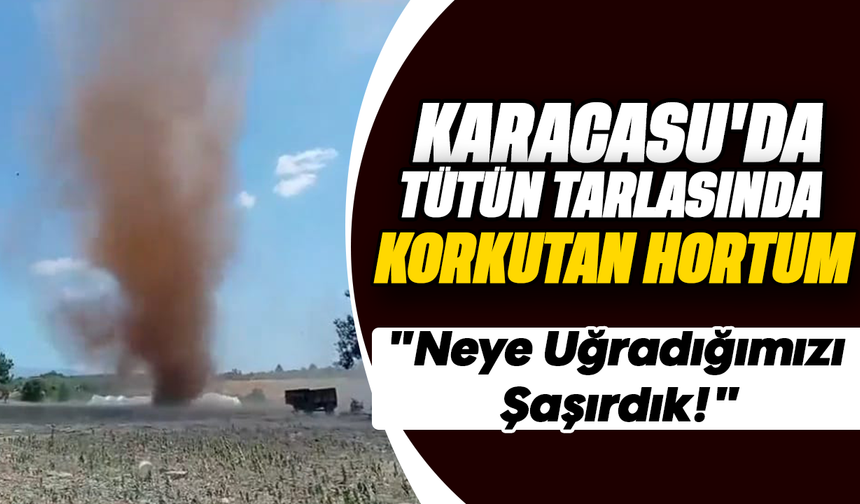 Karacasu'da Tütün Tarlasında Korkutan Hortum: "Neye Uğradığımızı Şaşırdık!"