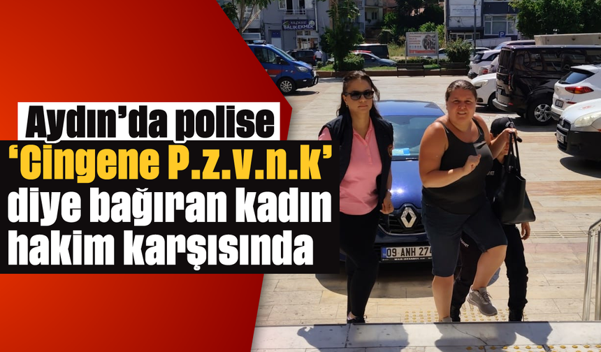 Aydın'da polise hakaret eden kadın hakim karşısında