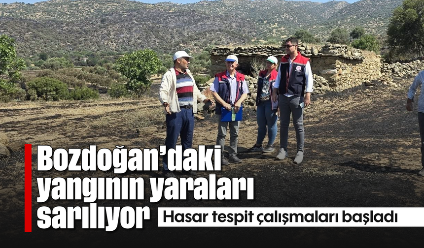 Bozdoğan'daki yangının yaraları sarılıyor: Hasar tespit çalışmaları başladı