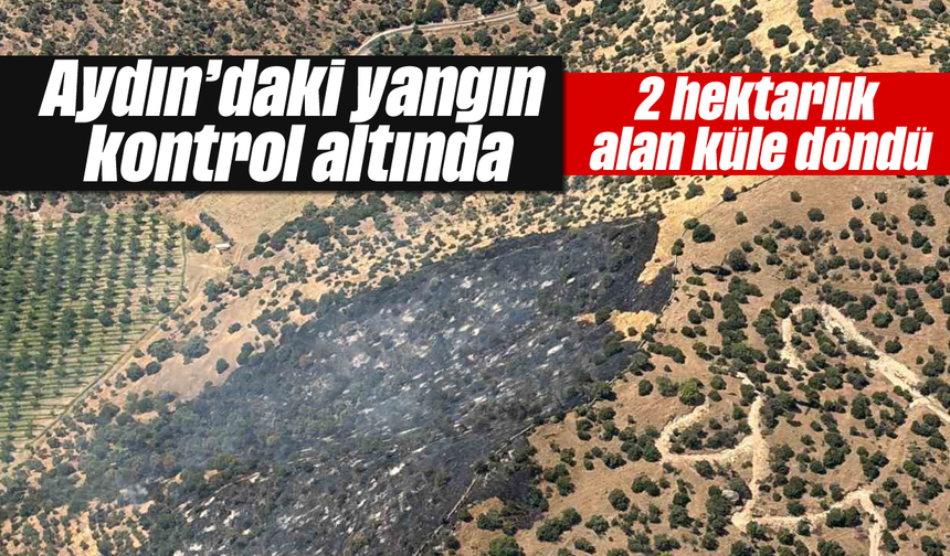 Aydın’da alevler kontrol altında: 2 hektar alan küle döndü
