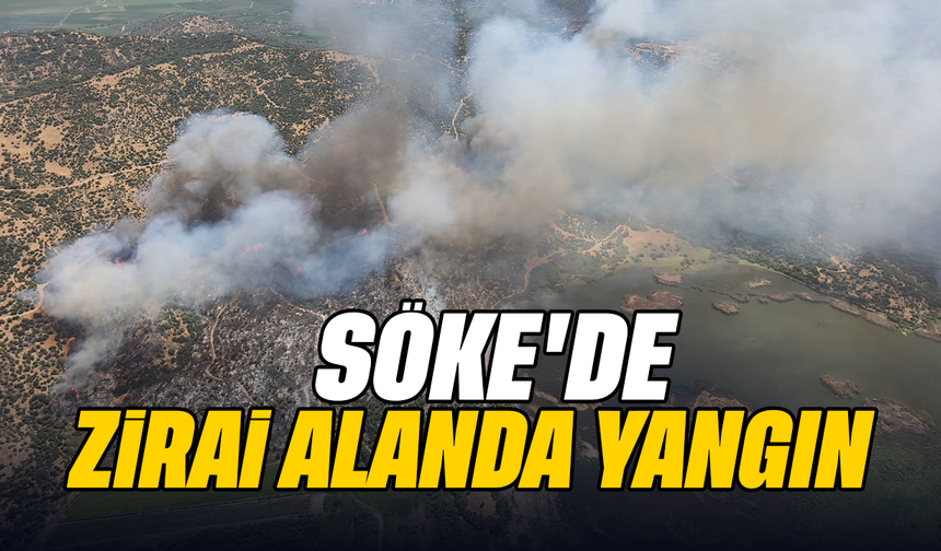 Söke’de zirai alanda yangın