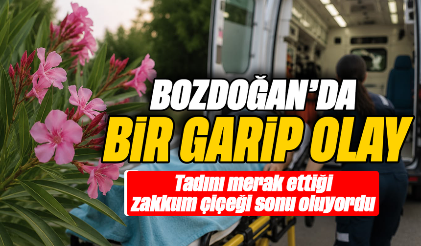 Bozdoğan’da bir garip olay :Tadını merak ettiği zakkum çiçeği sonu oluyordu