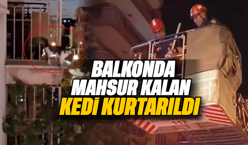 Balkonda mahsur kalan kedi kurtarıldı