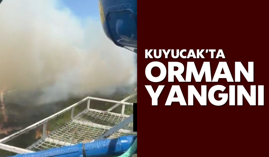 Kuyucak’ta orman yangını