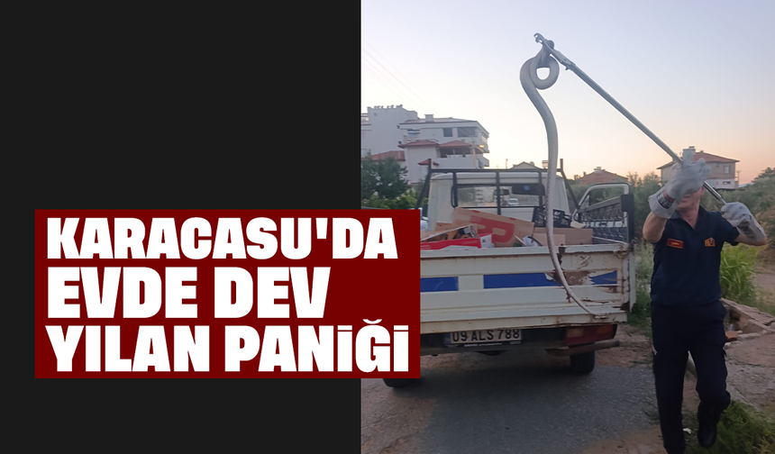 Karacasu'da evde dev yılan paniği