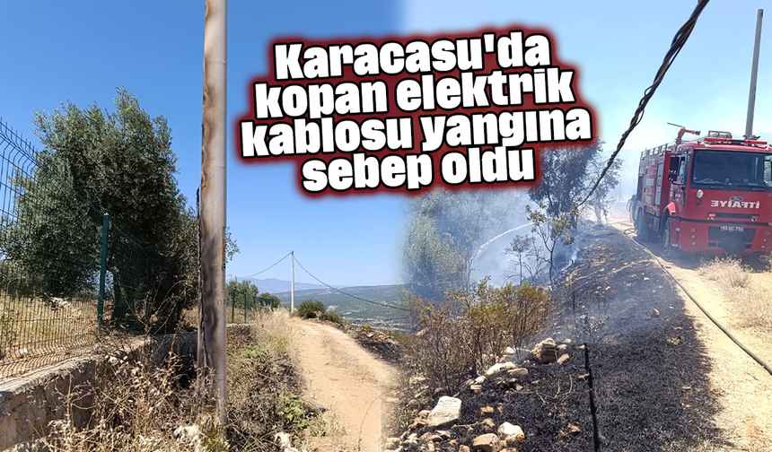 Karacasu'da kopan elektrik kablosu yangına sebep oldu