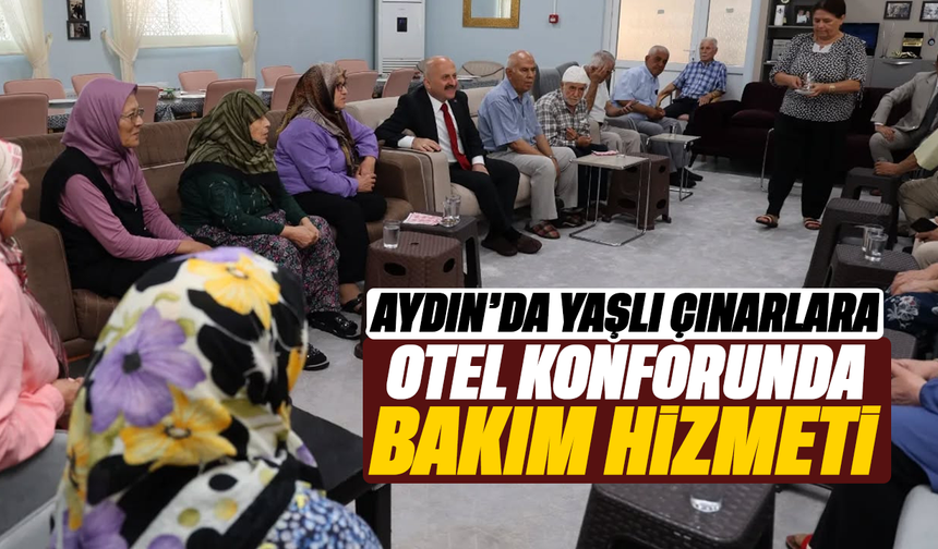 Aydın’da yaşlı çınarlara otel konforunda bakım hizmeti