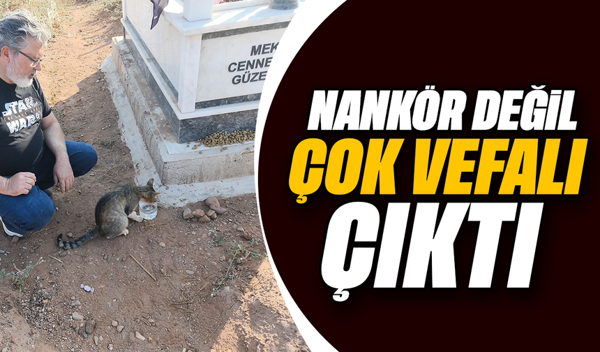 Nankör değil, çok vefalı çıktı