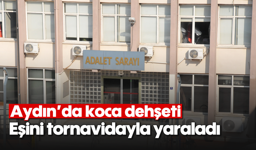 Aydın'da koca dehşeti: Eşini tornavidayla yaraladı