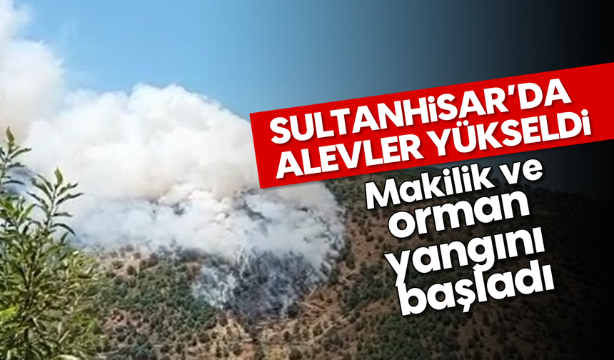 Sultanhisar'da alevler yükseldi: Makilik ve orman yangını başladı