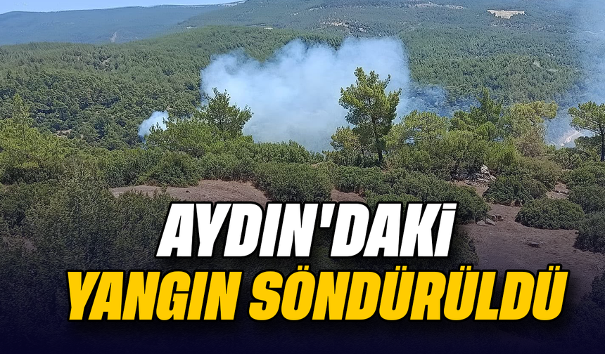 Aydın’daki yangın söndürüldü