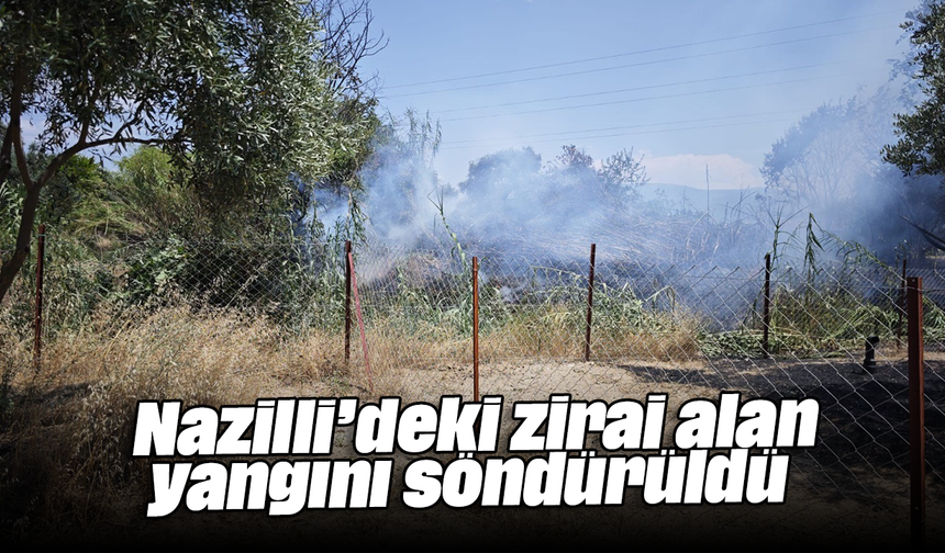 Nazilli’deki zirai alan yangını söndürüldü