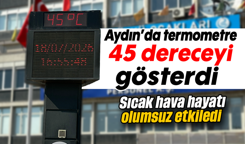 Aydın’da termometre 45 dereceyi gösterdi: Sıcak hava hayatı olumsuz etkiledi