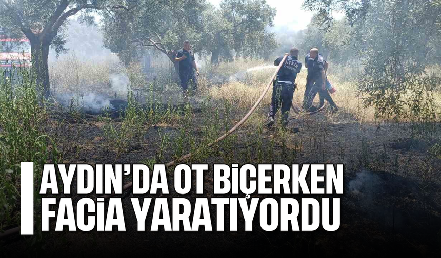 Aydın'da ot biçerken facia yaratıyordu