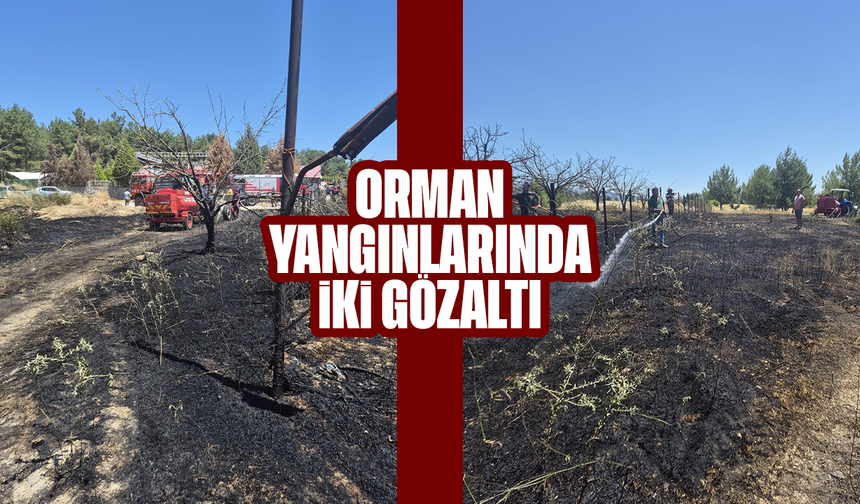 Orman yangınlarında iki gözaltı