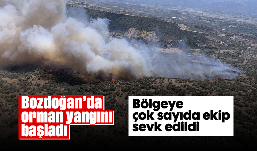 Bozdoğan’da orman yangını başladı