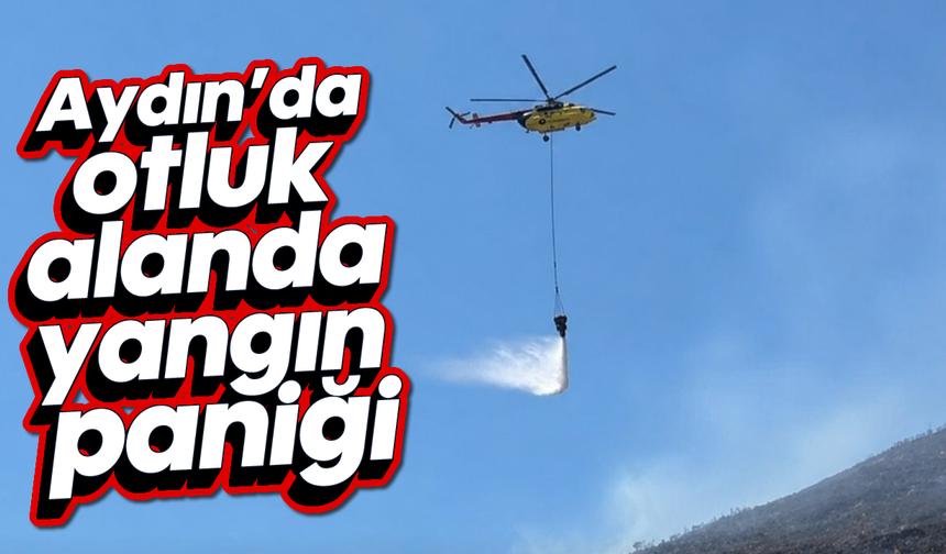 Aydın'da otluk alanda yangın paniği