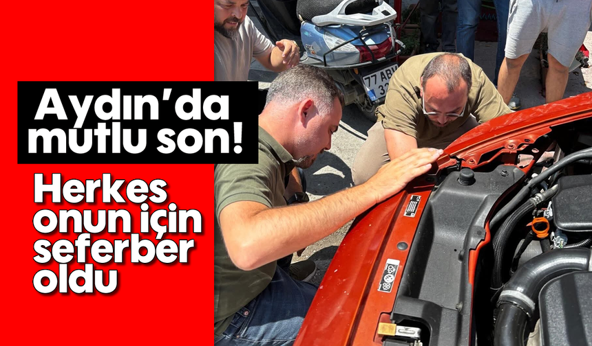 Aydın'da mutlu son! Herkes onun için seferber oldu