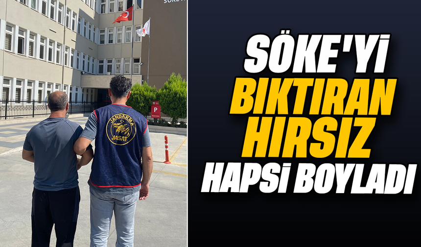 Söke’yi bıktıran hırsız hapsi boyladı