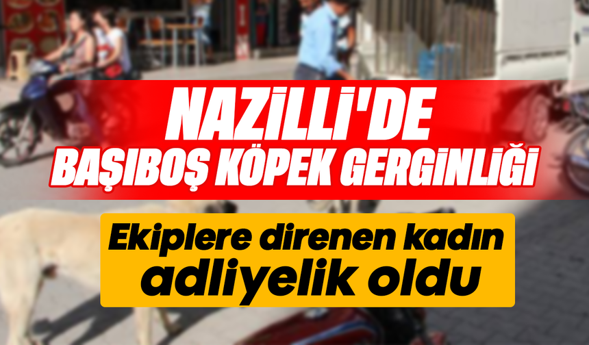 Nazilli’de başıboş köpek gerginliği: Ekiplere direnen kadın adliyelik oldu