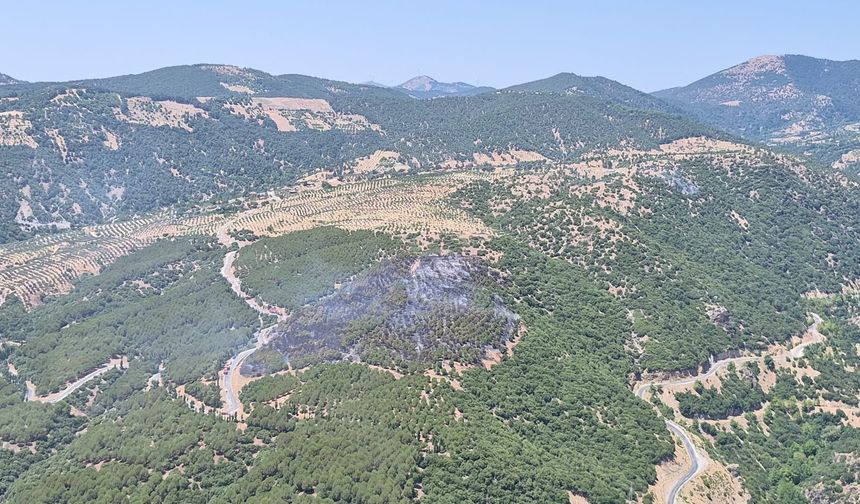 Kuyucak’tan rahatlatan haber : Yangın kontrol altında