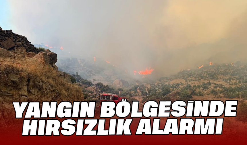 Yangın bölgesinde hırsızlık alarmı