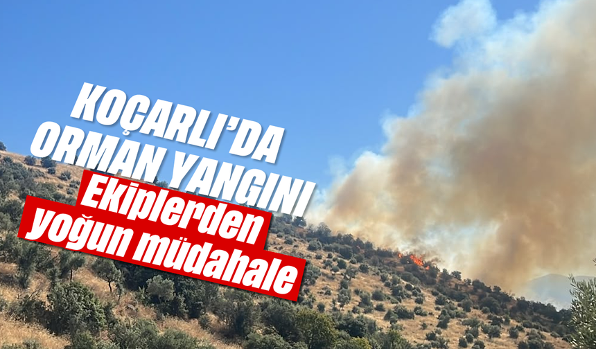 Koçarlı'da orman yangını: Ekiplerden yoğun müdahale