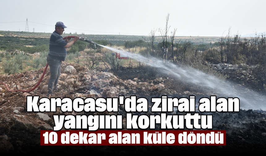 Karacasu'da zirai alan yangını korkuttu: 10 dekar alan küle döndü