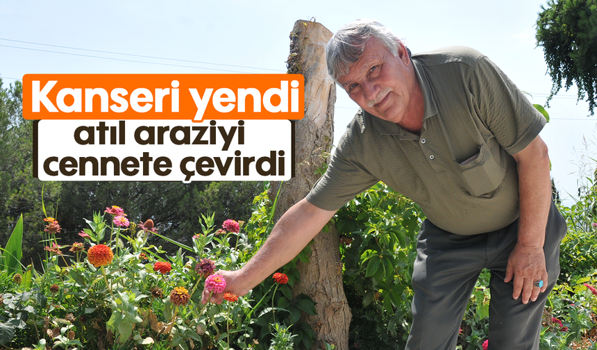 Kanseri yendi, atıl araziyi cennete çevirdi