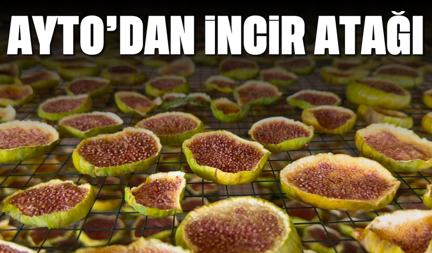 AYTO’dan incir atağı