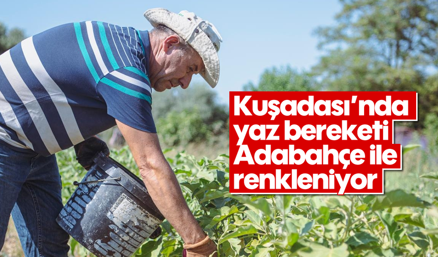Kuşadası'nda yaz bereketi Adabahçe ile renkleniyor