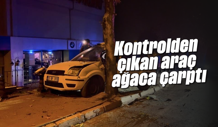 Kontrolden çıkan araç ağaca çarptı