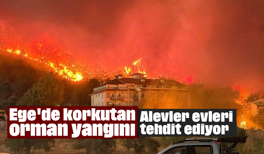 Ege'de korkutan orman yangını: Alevler evleri tehdit ediyor