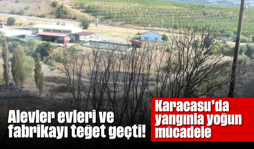 Alevler evleri ve fabrikayı teğet geçti! Karacasu'da yangınla yoğun mücadele