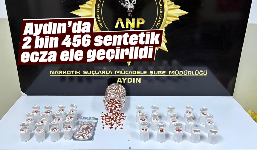 Aydın’da 2 bin 456 sentetik ecza ele geçirildi