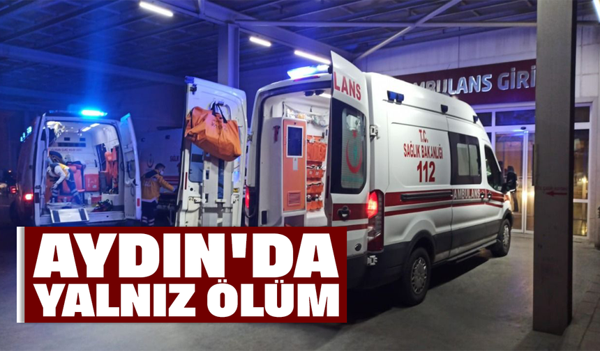Aydın'da yalnız ölüm!