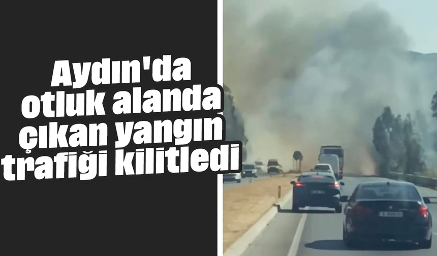 Aydın'da otluk alanda çıkan yangın trafiği kilitledi