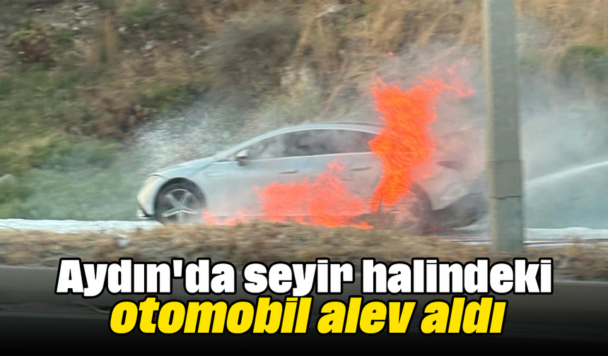 Aydın'da seyir halindeki otomobil alev aldı